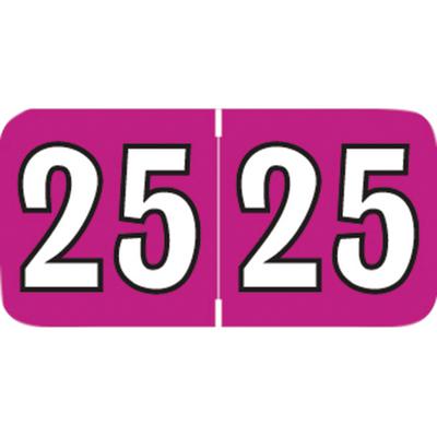 2025 Yearly Aging Labels, Jewel Tone/Jewel Tone II, End-Tab, Violet/White, 1-1/2" x 3/4", 500/Roll