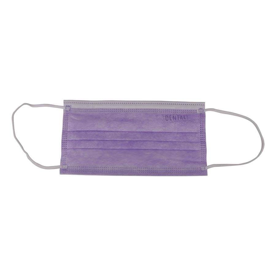 Dental City ASTM Level 2 Earloop Face Mask, Purple, 50/Box