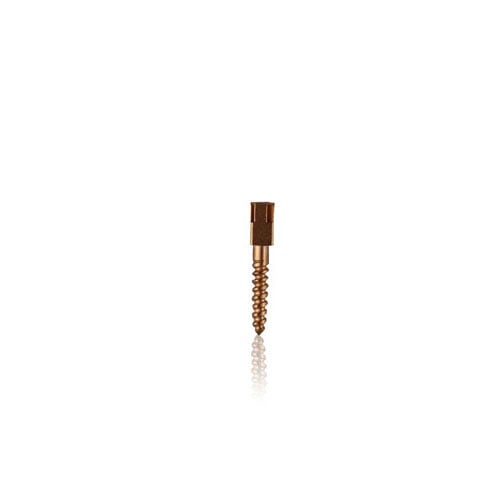 Nordin Gold Plated Conical Cross Head Screw Posts Refill S3, Lead Free Alloy, 12/Pack, DG-S3