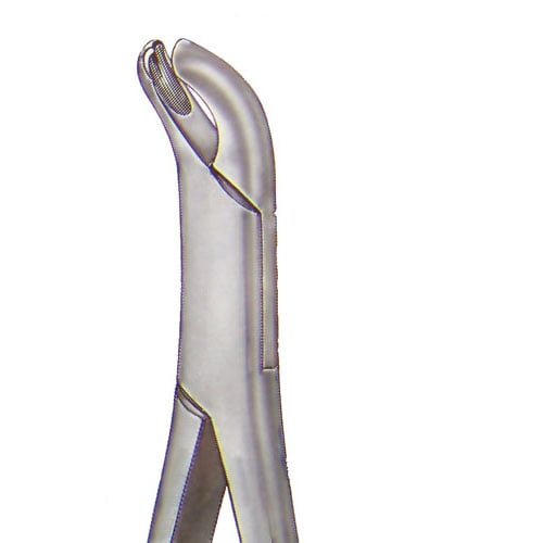 US Elite Forceps 18R Right 1st/2nd Upper Molar Extraction Forceps, 43161