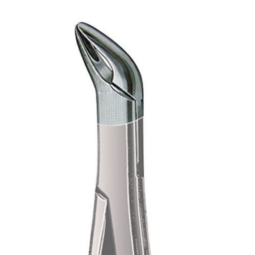 US Elite Forceps 151 Lower, 43281