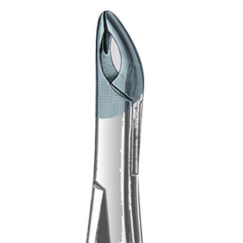 US Elite Forceps 150A Upper Incisor/Cuspid/Bicuspid Extraction Forceps, 43441
