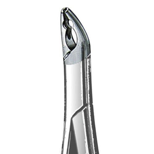 US Elite Forceps 150XAS Upper Pedo Split Beak, 43521