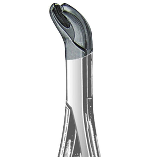 US Elite Forceps 17S Pedo Lower Molars, 4 3/4", 43551