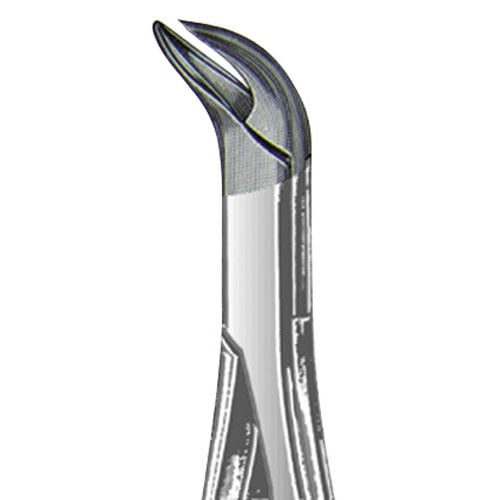 US Elite Forceps 23S Pedo Lower Molar, 4 3/4", Uni, 43561