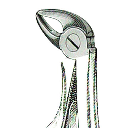 US Elite Forceps, Pedo B Lower Root Mini, 43751