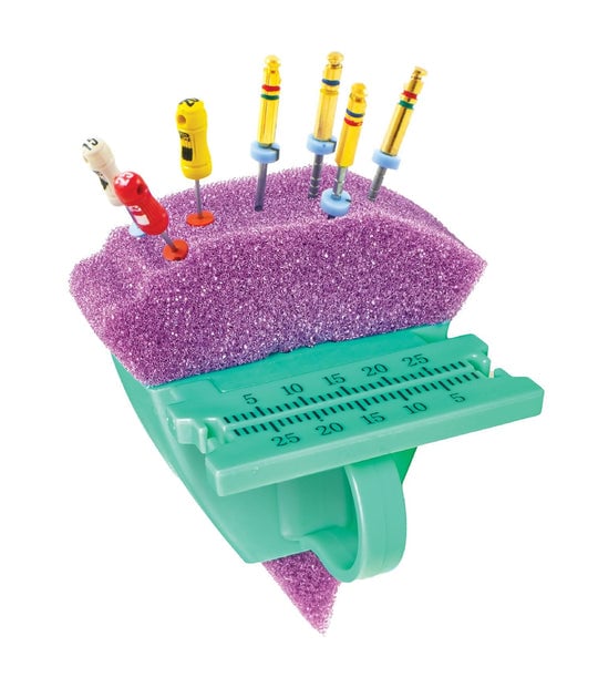 Pac-Dent Endo Aid Endo Organizer Only, Autoclavable, with Removable Ruler and 2 Rings, 803R