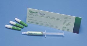 Pulpdent Paste Syringe Needles, Refill, 24/Pk, PSYN