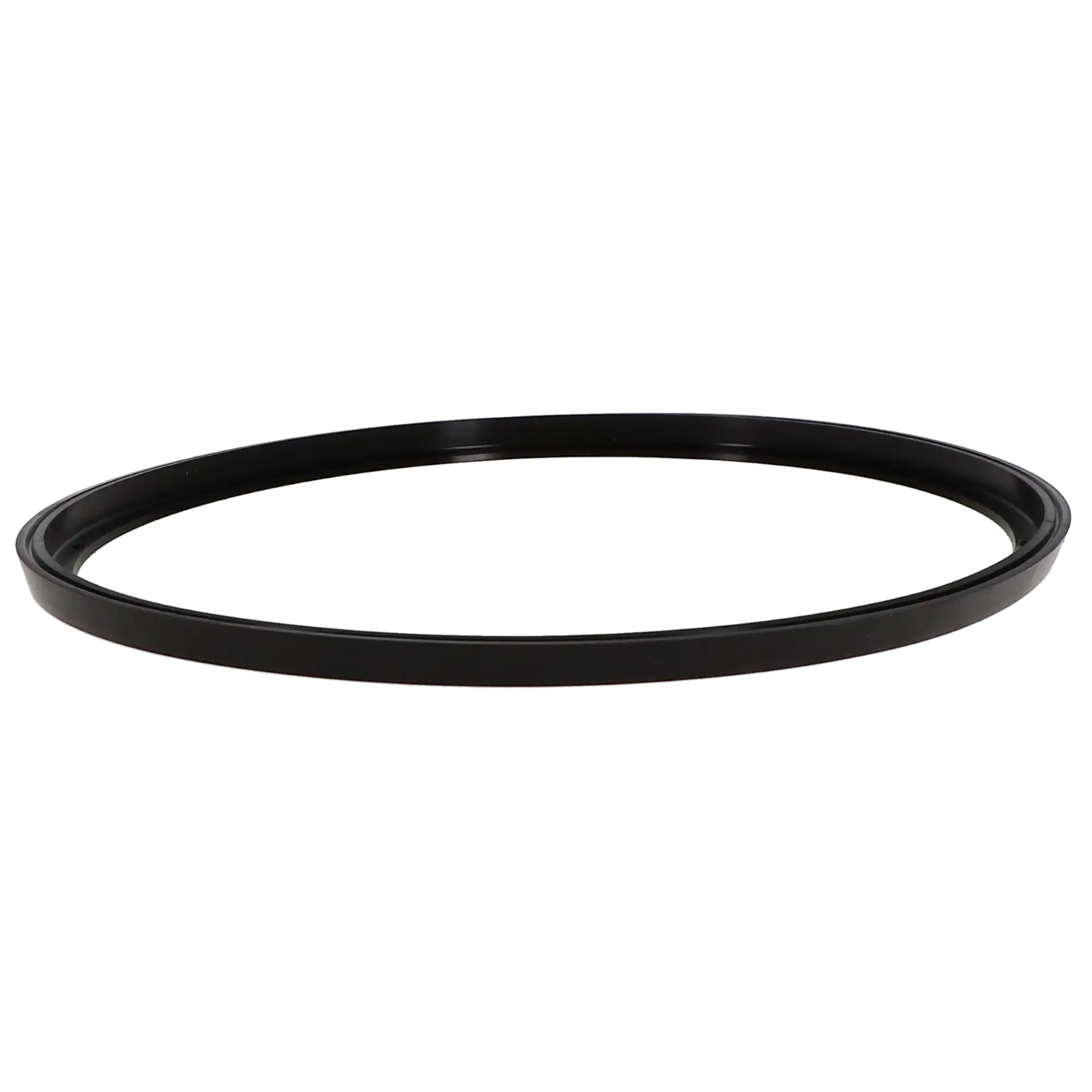 DCI International Sterilizer Gasket for A-dec/W&H Lisa MB17, 1/Pk, PN 2186