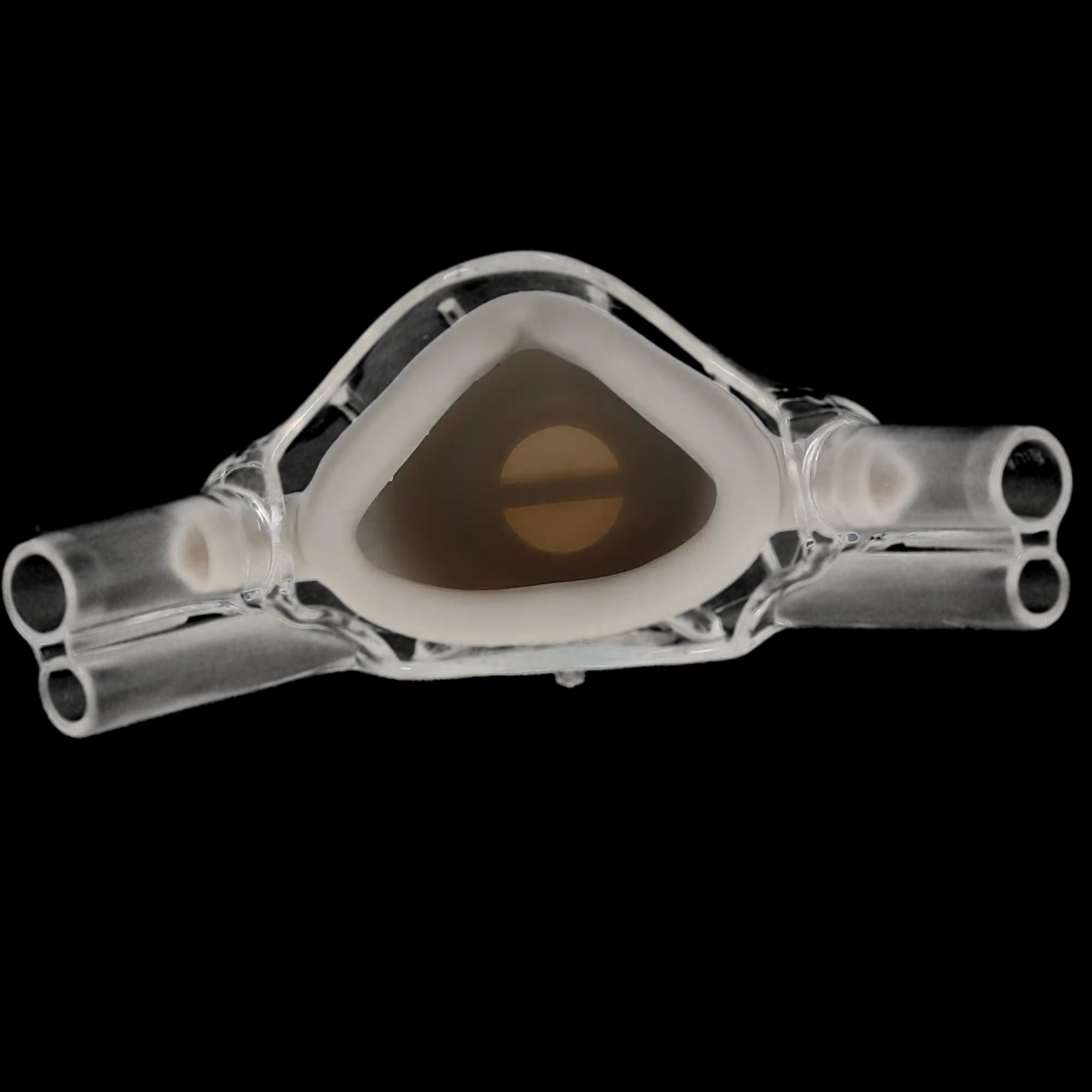 Accutron ClearView Single-Use Nasal Masks, Adult, Unscented, Grey, 12/Pk, 33035-9