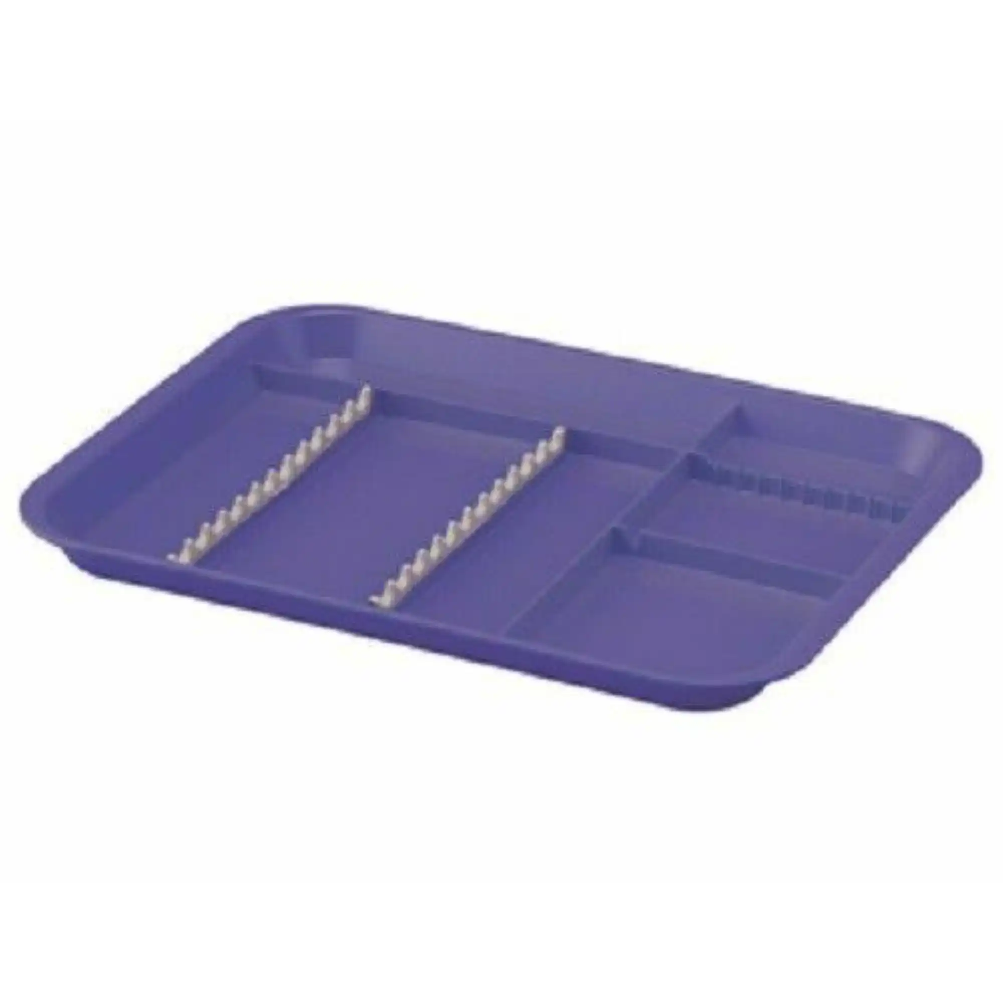 Plasdent Divided Tray Size B Neon Purple, 300BDS-10