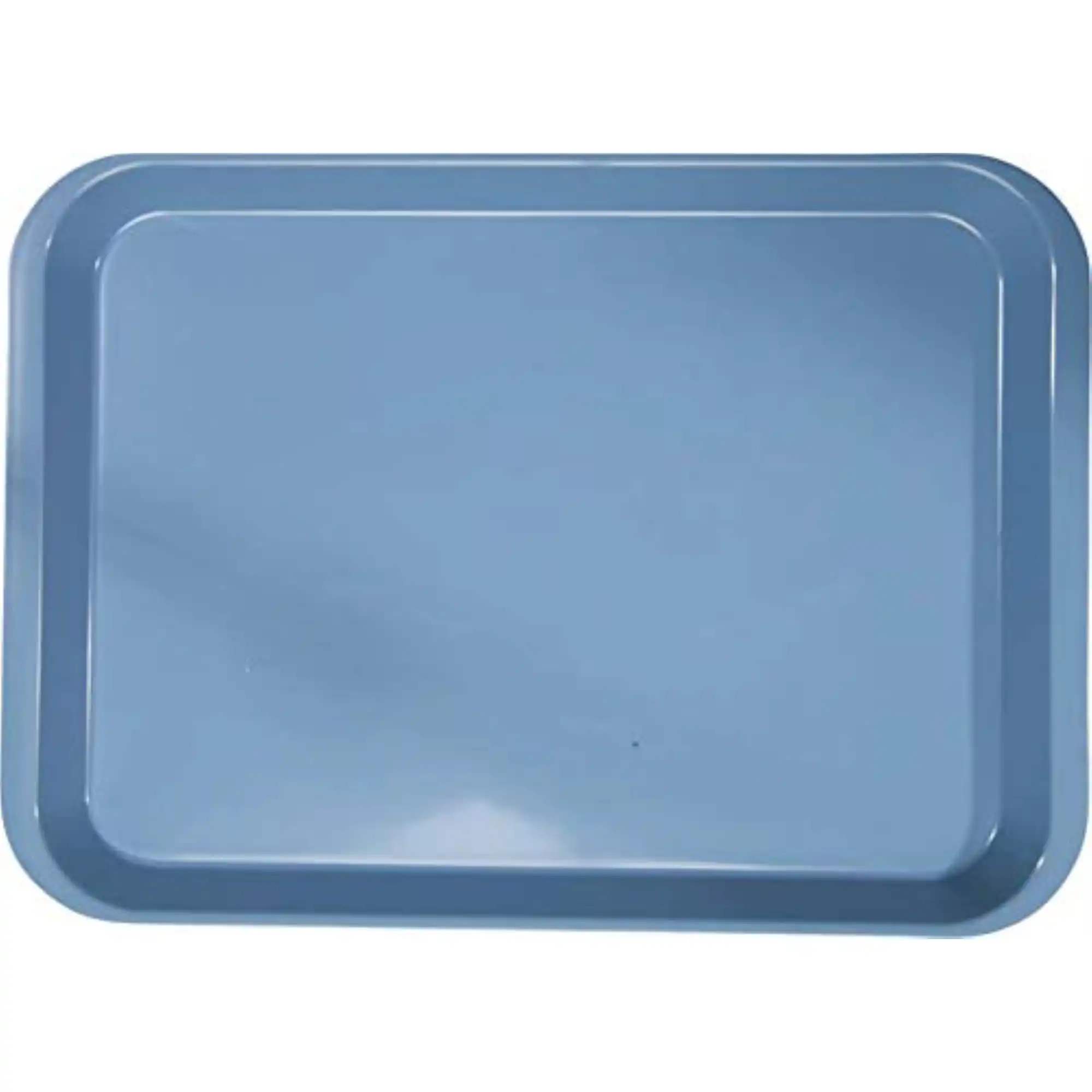 Plasdent Set-Up Flat Tray, Size B, Baby Blue, 13 3/8" x 9 5/8" x 7/8", 1/Pk, 300BFS-2PS