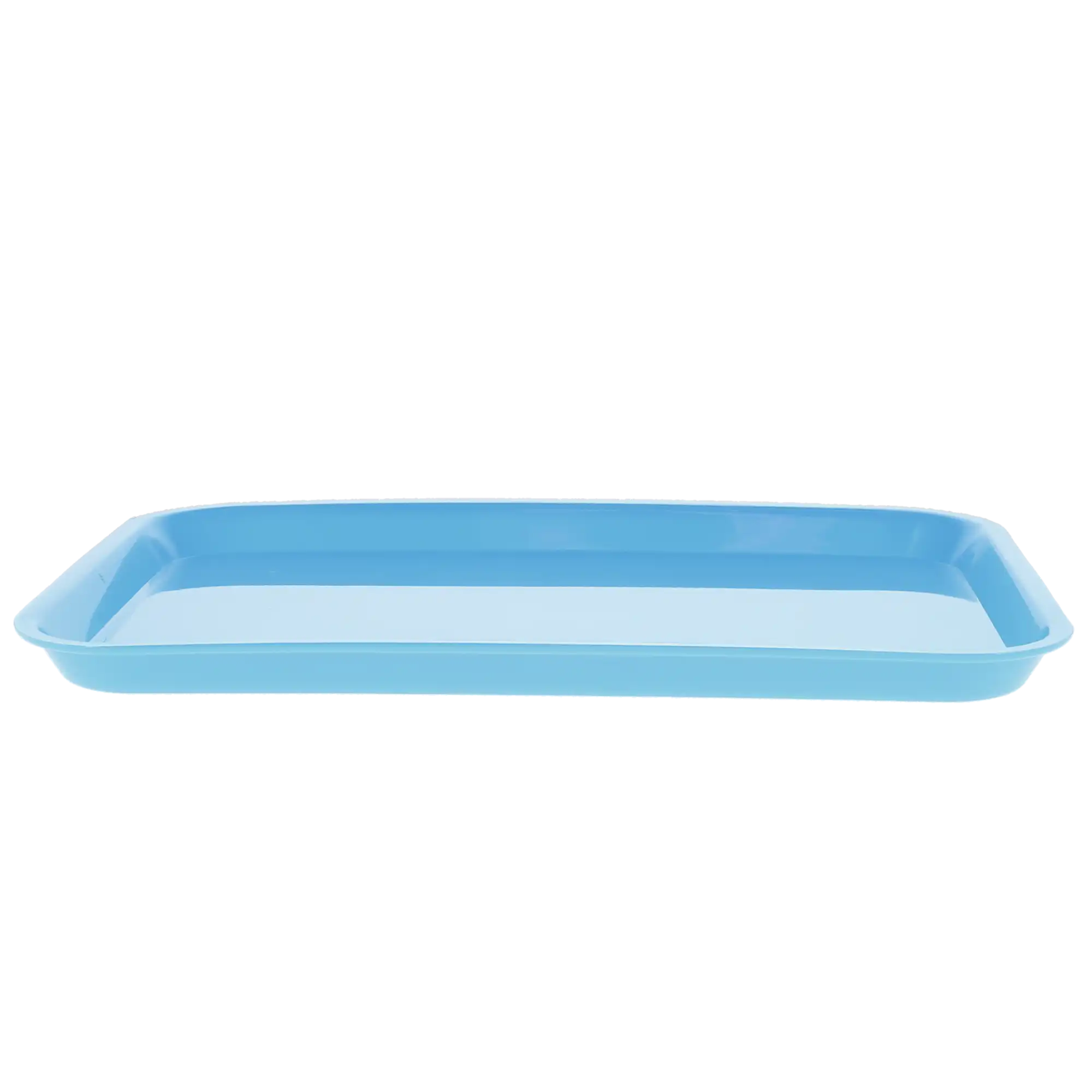 Plasdent Set-Up Flat Tray, Size B (Ritter), Blue, 13-1/2" x 9-5/8" x 7/8", 1/Pk, 300BF-2