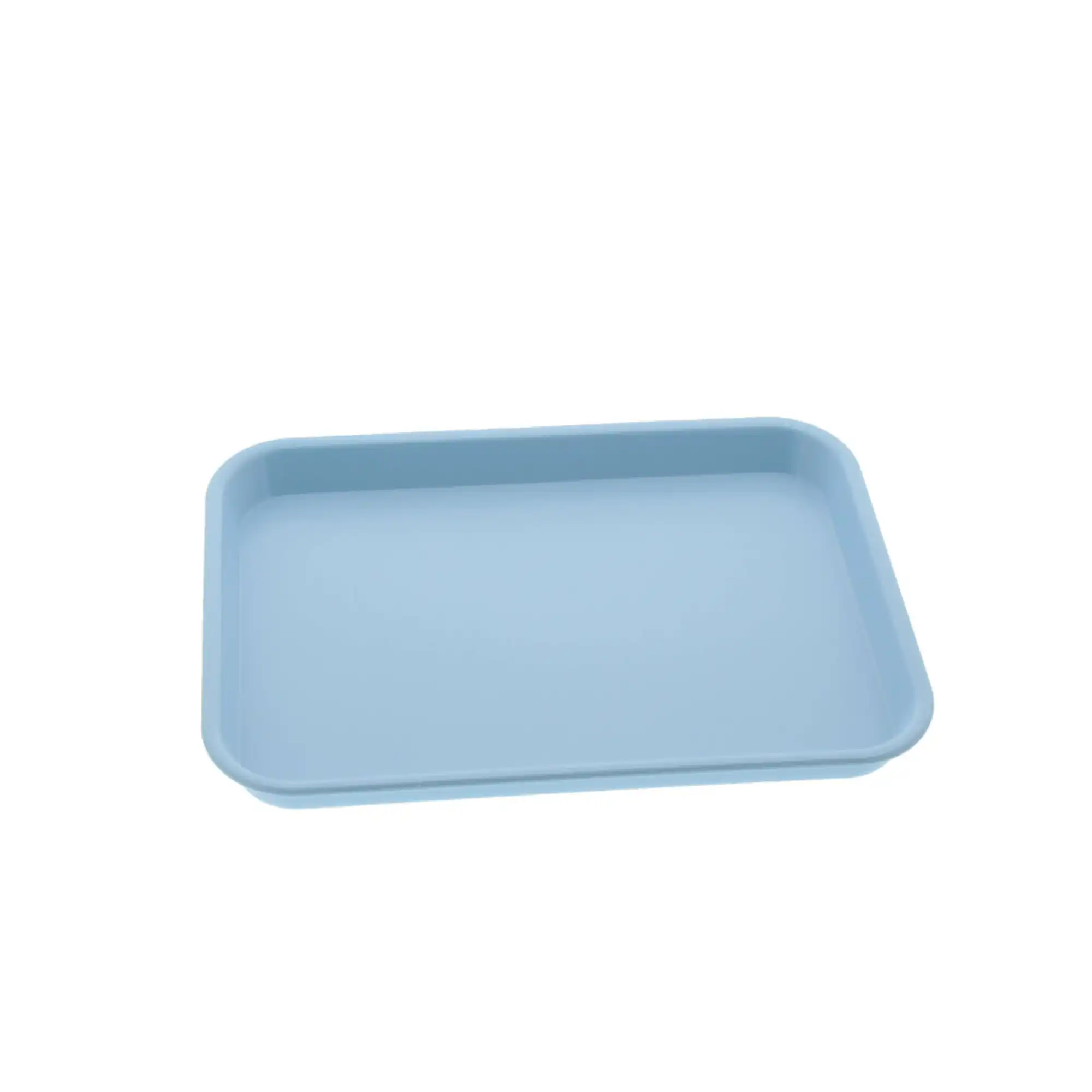 Plasdent Set-Up Plastic Flat Tray, Size F (Mini), Baby Blue, 9-5/8" x 6-5/8" x 7/8", 1/Pk, 300FMS-2PS