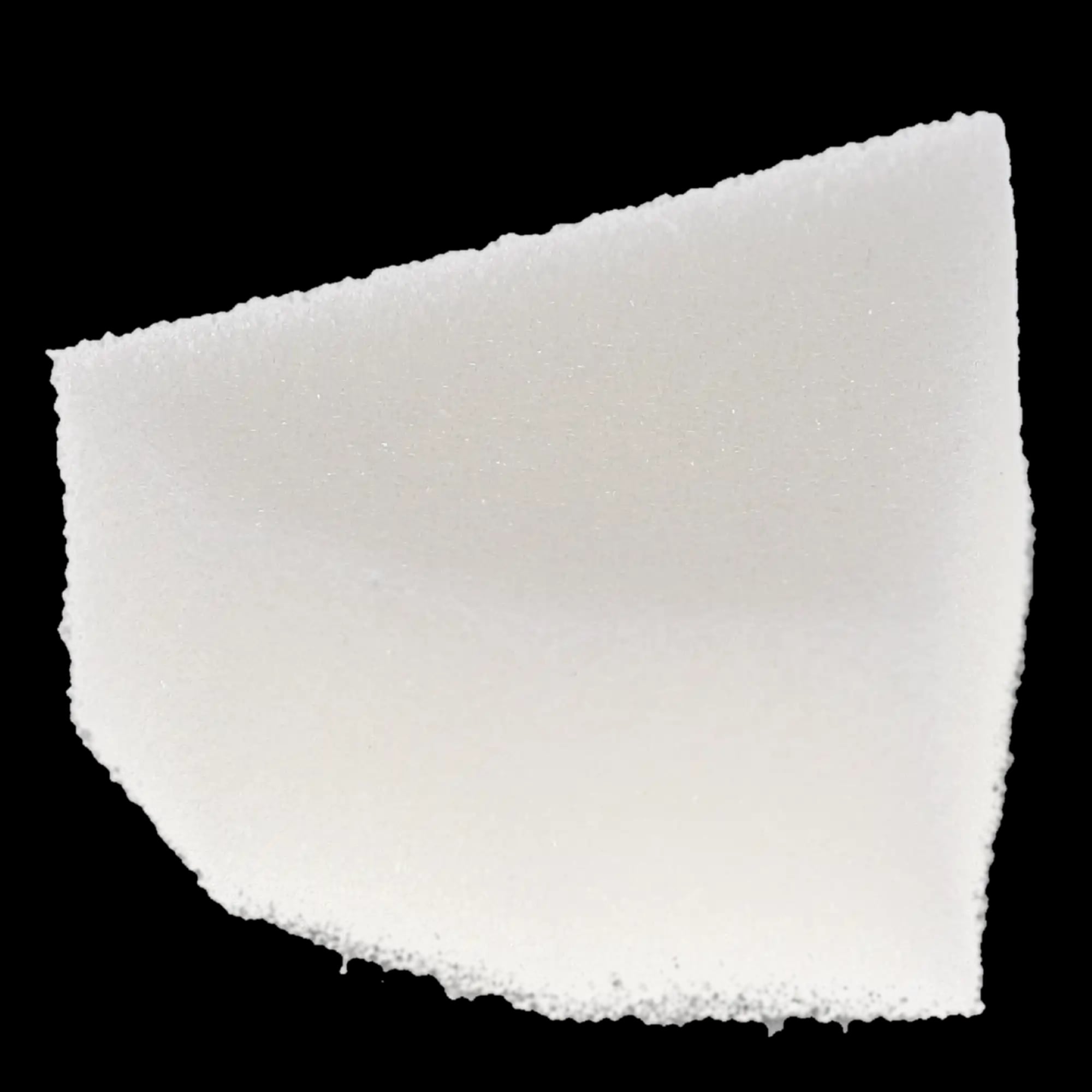 Plasdent Endo Foam Sponge Inserts, Triangle, White, Disposable, 48/Pk, EFI-1
