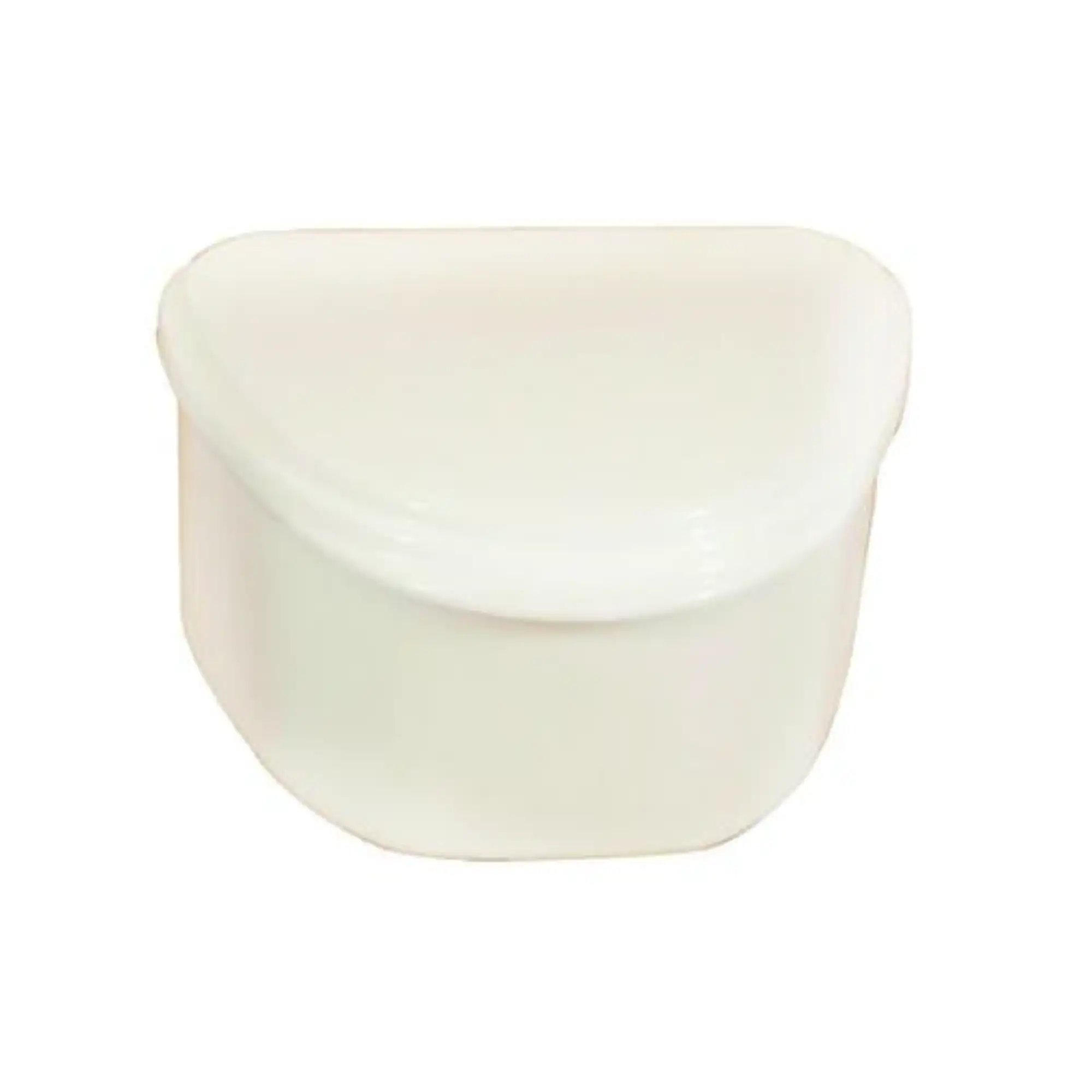 Plasdent Denture Box, White, Plastic with Hinged Lid, 4"W x 3"L x 2"H, 12/Box, 200BTH-1