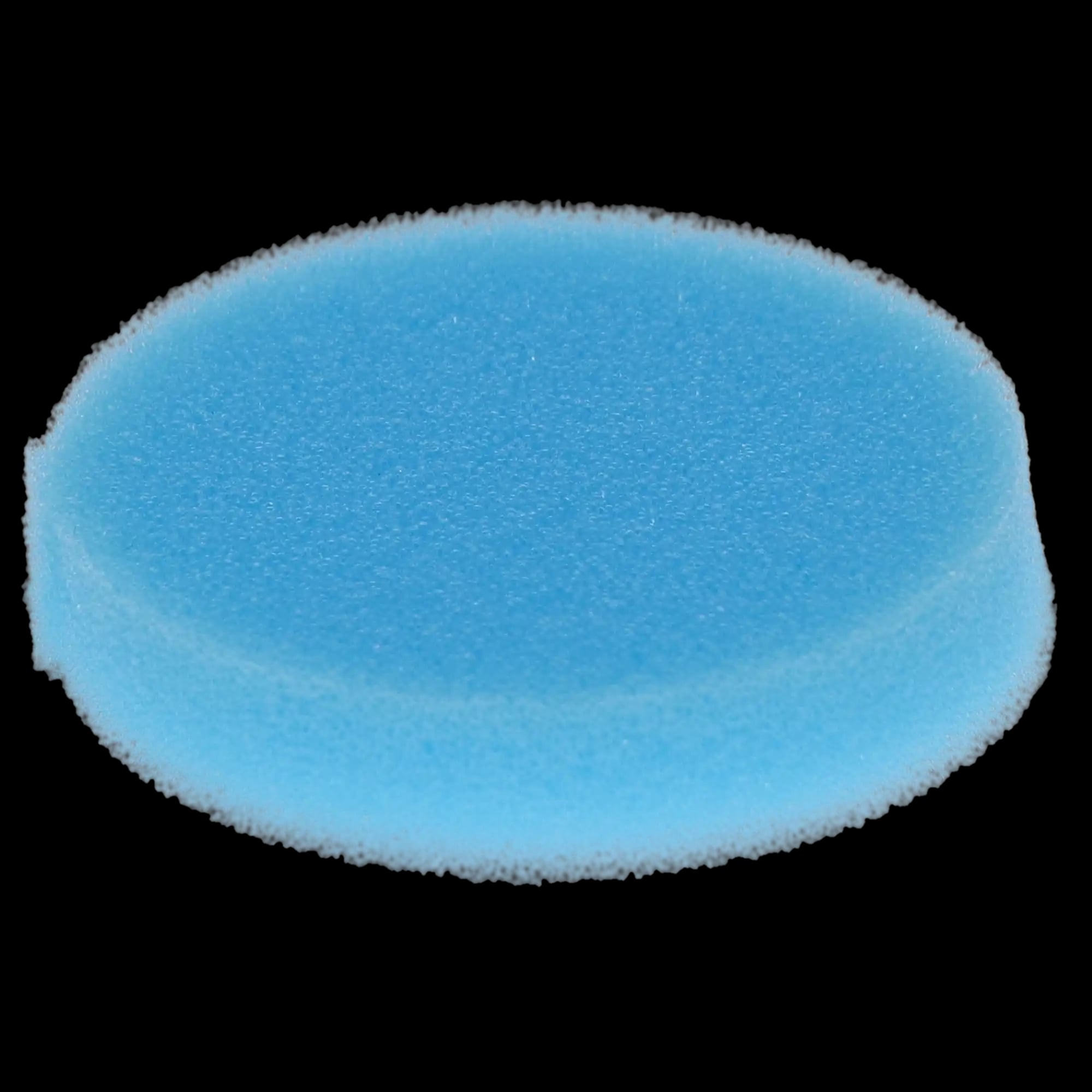 Plasdent Endo Sponge Foam Inserts, Round, Blue, 48/Pk, EFI(R)-2