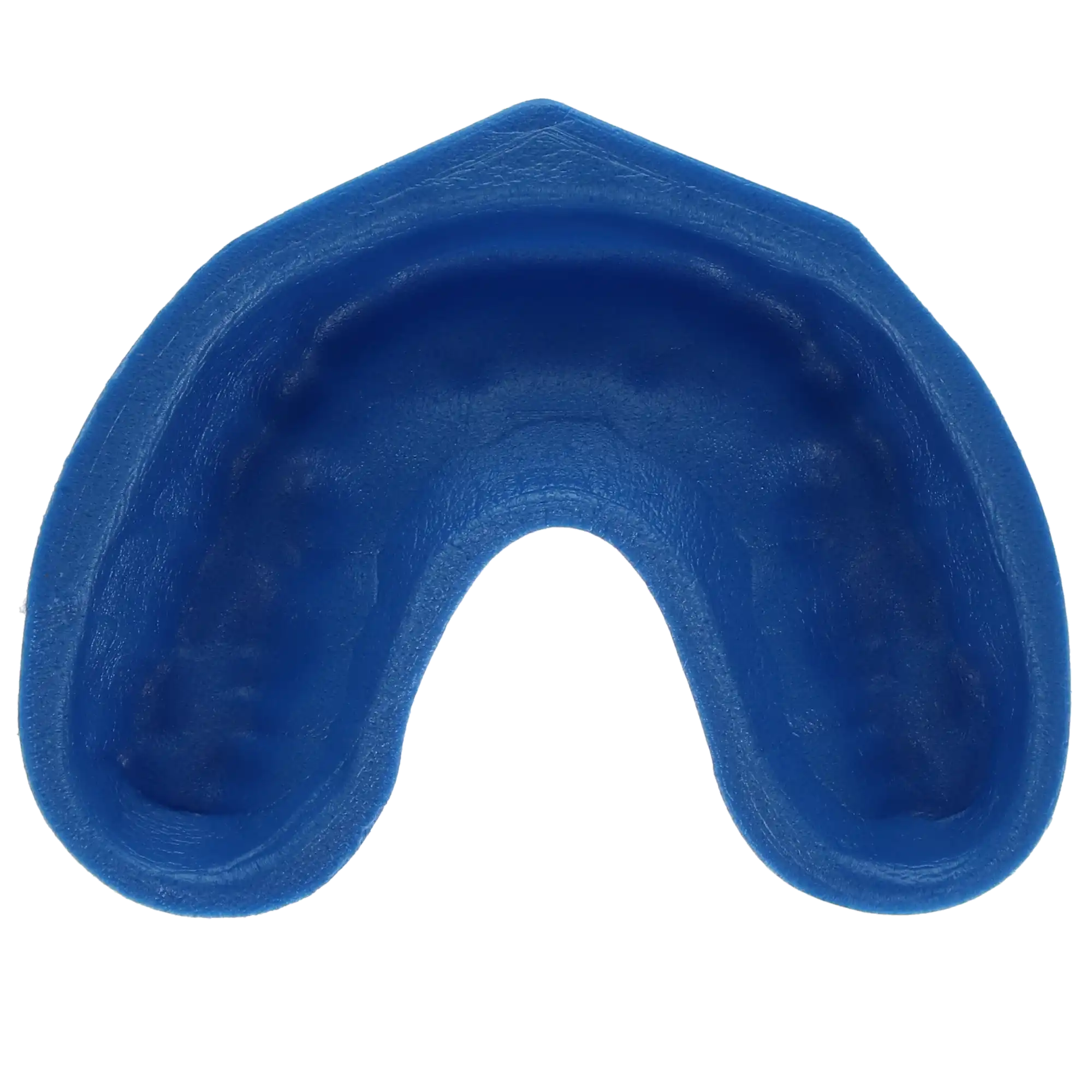 Plasdent Disposable Single Fluoride Trays, Arch, Large, Blue/White, 100/Pk, FTA-L