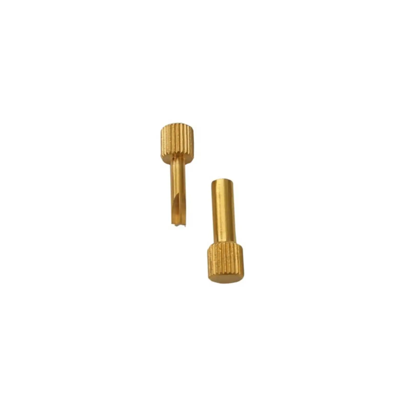 Johnson Promident Key Screw Post, 2/Pk