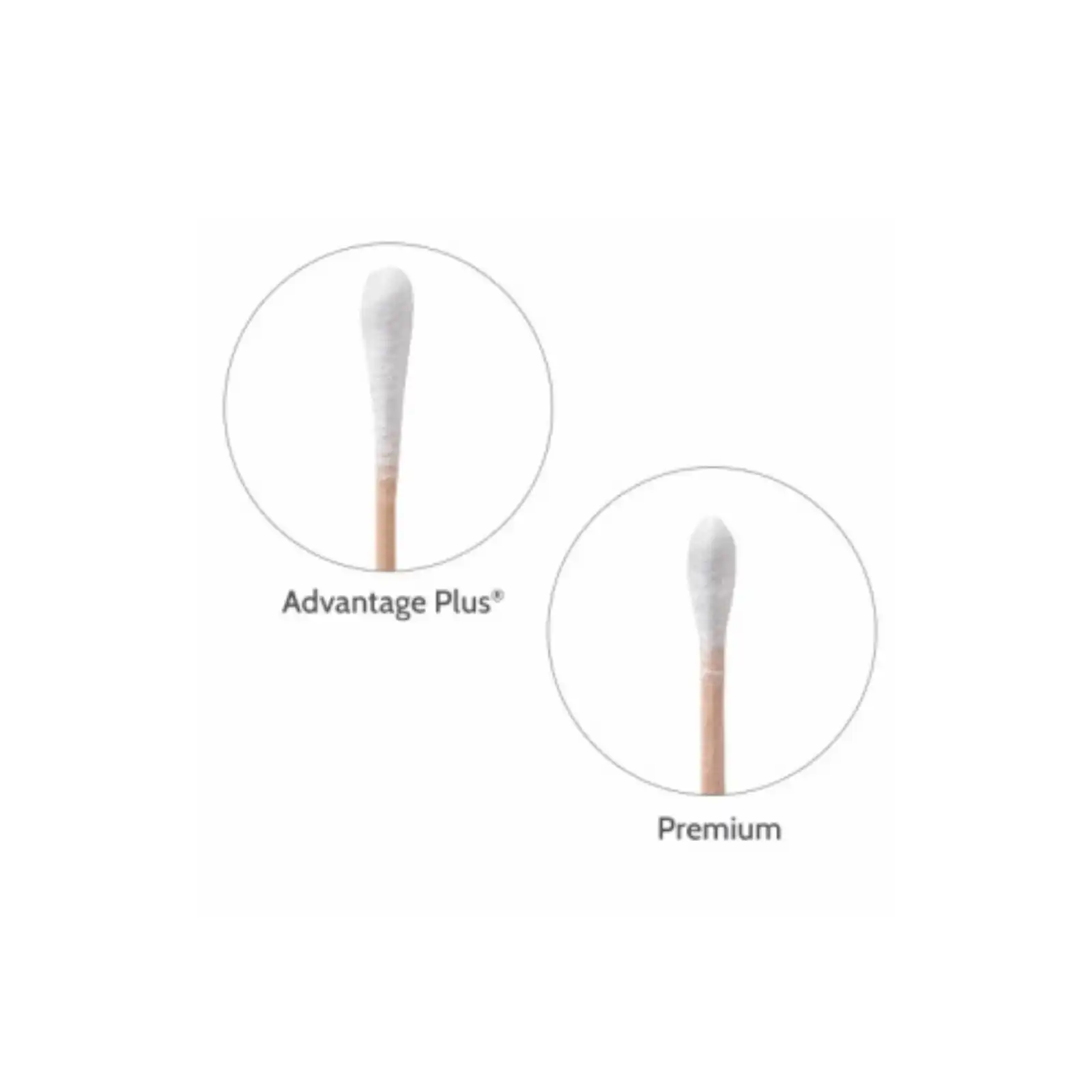 Crosstex Premium Cotton Tipped Applicators, 6" Wood Shaft, Non-Sterile, 1000/Box, H6C