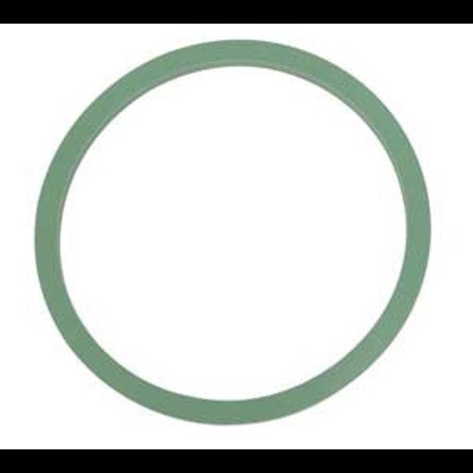 RPI Door Gasket for Autoclave/Sterilizer, Fits Serial #8806 and Above