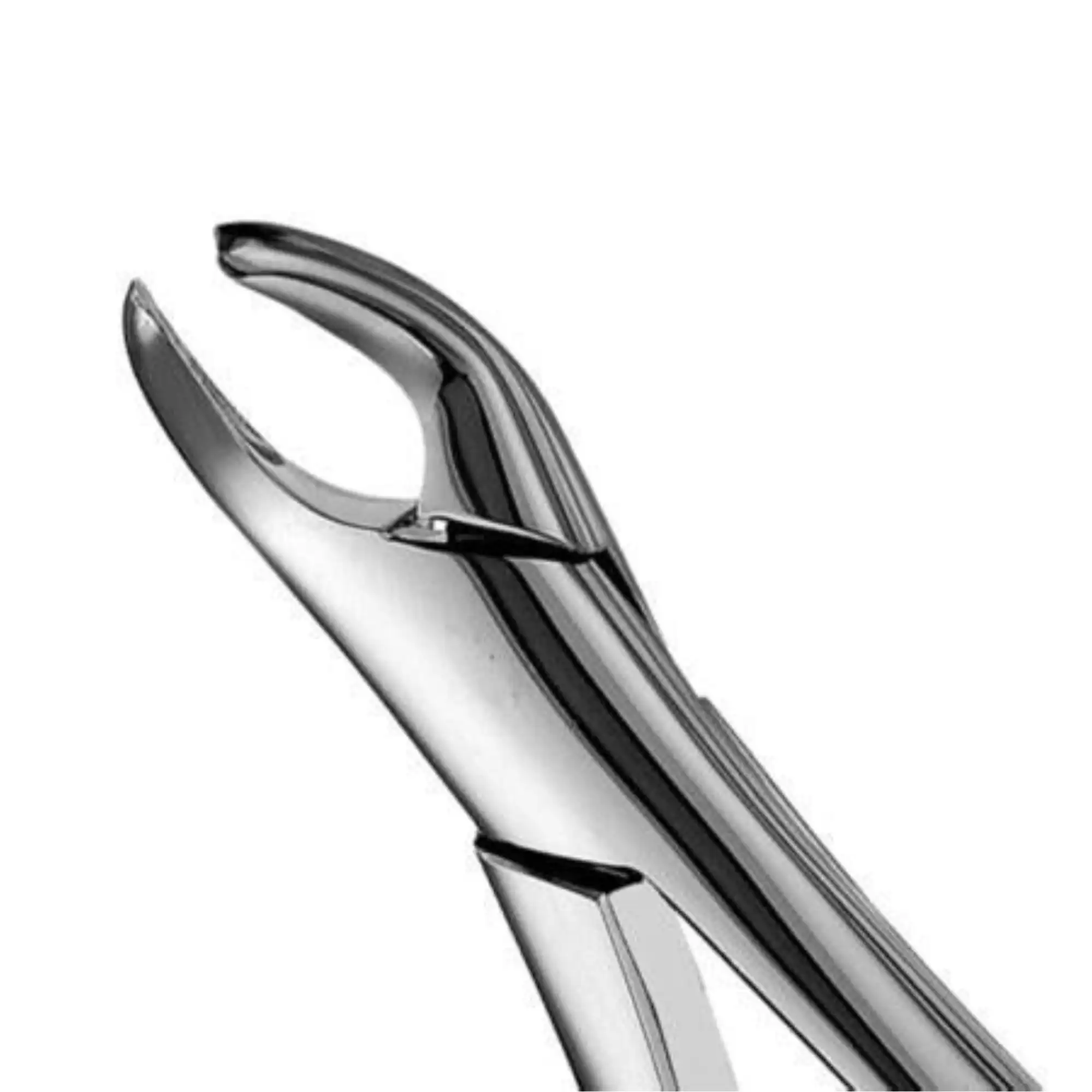 Hu-Friedy Extraction Forceps, Cryer, Universal, #151, 1/Pk, F151