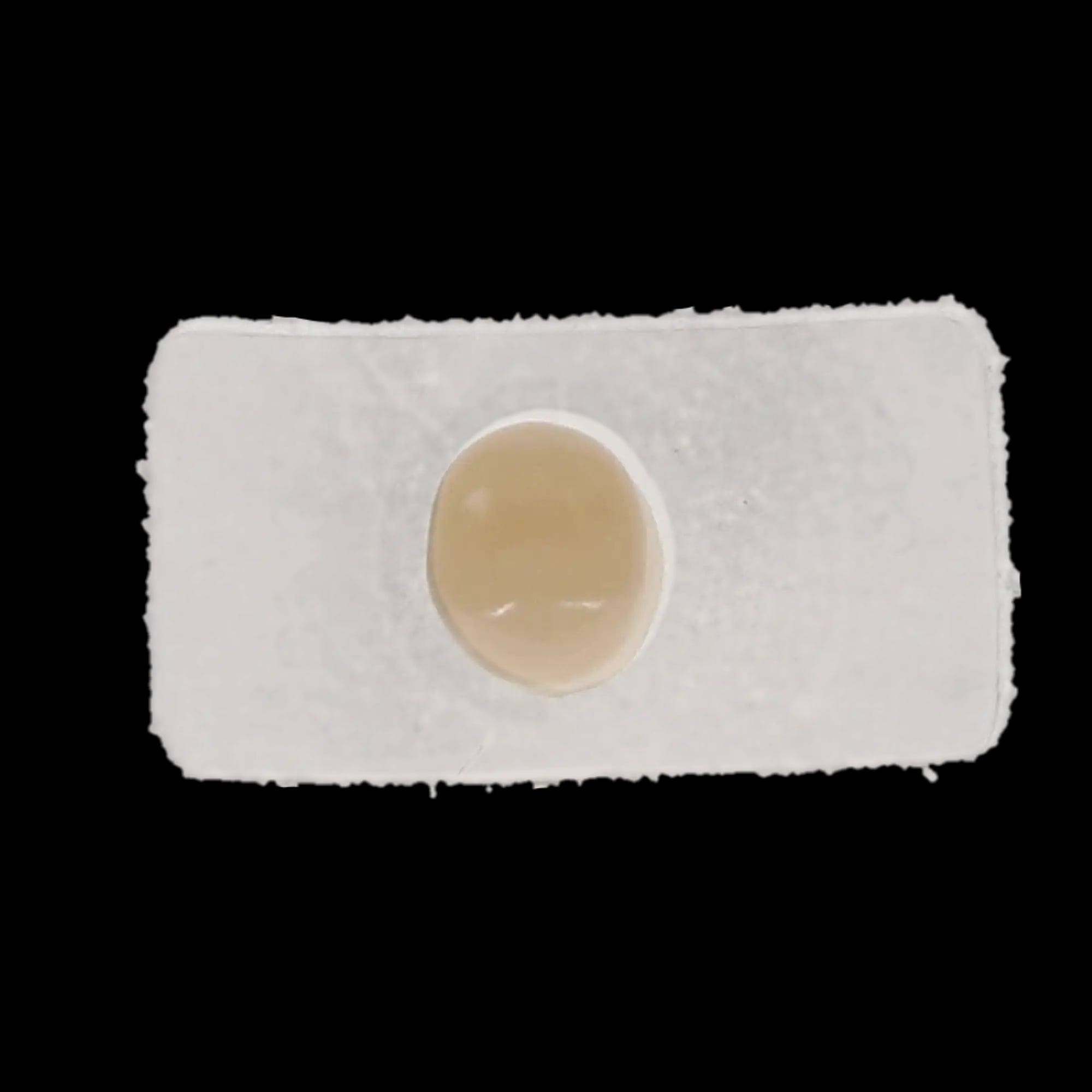 3M Protemp Crown Temporization Material, Adult Refill, Lower Bicuspid, Universal Shade, 5/Pk, 50616