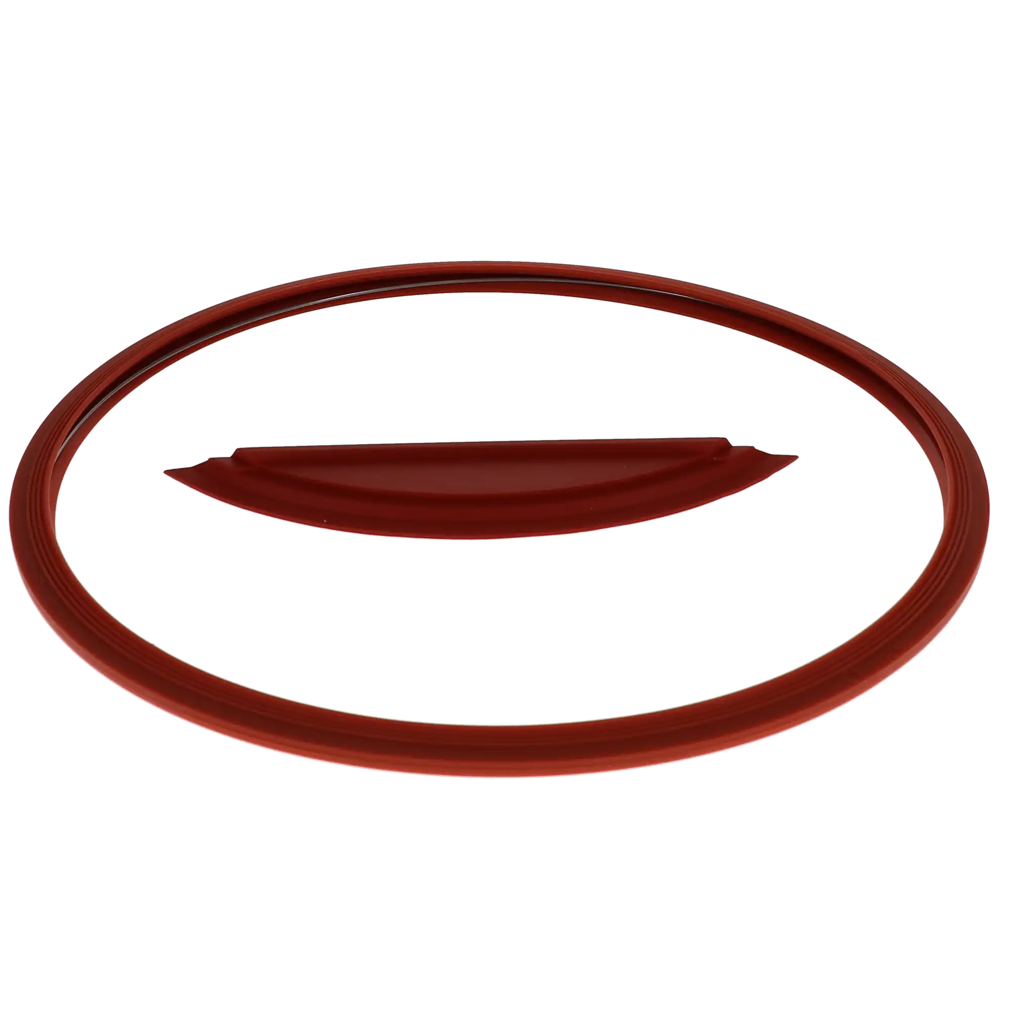 DCI International Sterilizer M11 Door Gasket Kit with Dam, 3-Piece (Gasket, Dam, Hoop), 1 Kit/Pk, 2195