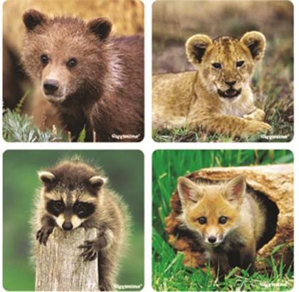 Baby Animal Sticker Roll, Assorted Designs, 2.5" Diameter, 100 Stickers per Roll