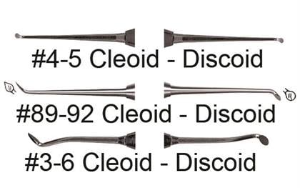 Burkhart Cleoid-Discoid #3/6 Large