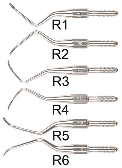 DenMat R5S UC/RAT SS CS TIP