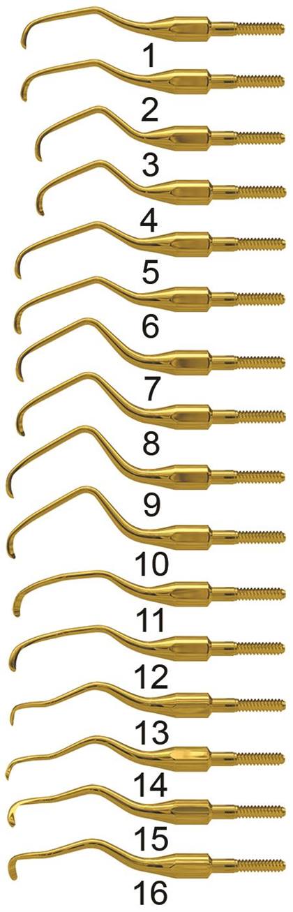 American Eagle Instruments Gracey 3 Talon Tough Quik Tip
