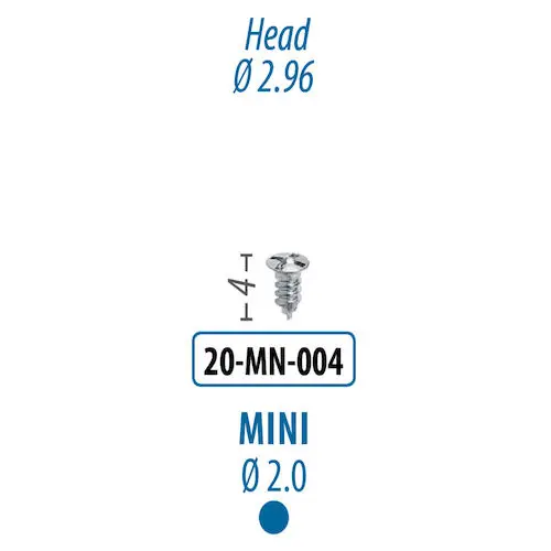Citagenix Mini Screw 2.0 mm x 4 mm, 20-MN-004
