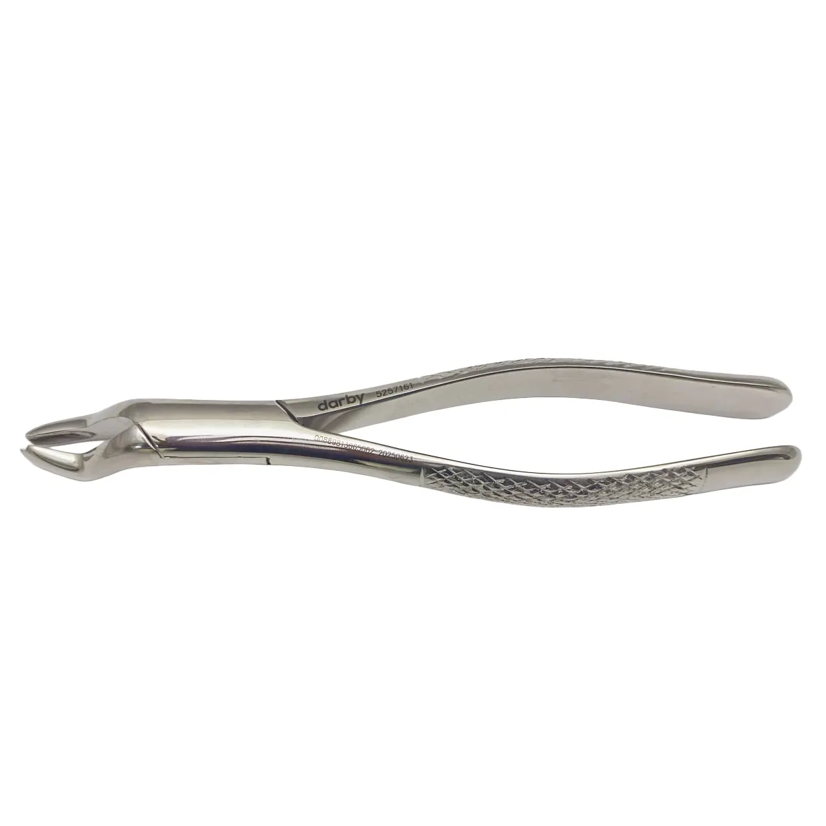 Darby Dental Extraction Forceps, #53R, 5257161