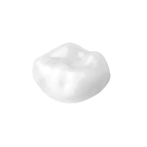 Ceramir Pediatric Crown 85/T Large, 1/Pkg, 805178