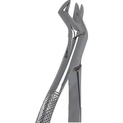 Darby Dental Stainless Steel Extraction Forceps, #13 English, 9513435