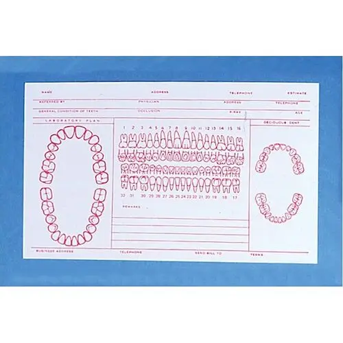 Schapiro Printing Record Cards, 5" x 8", #211, 100/Pkg.