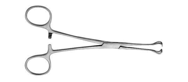 Tissue Forceps 5.5" 4x5 Teeth, Stainless Steel