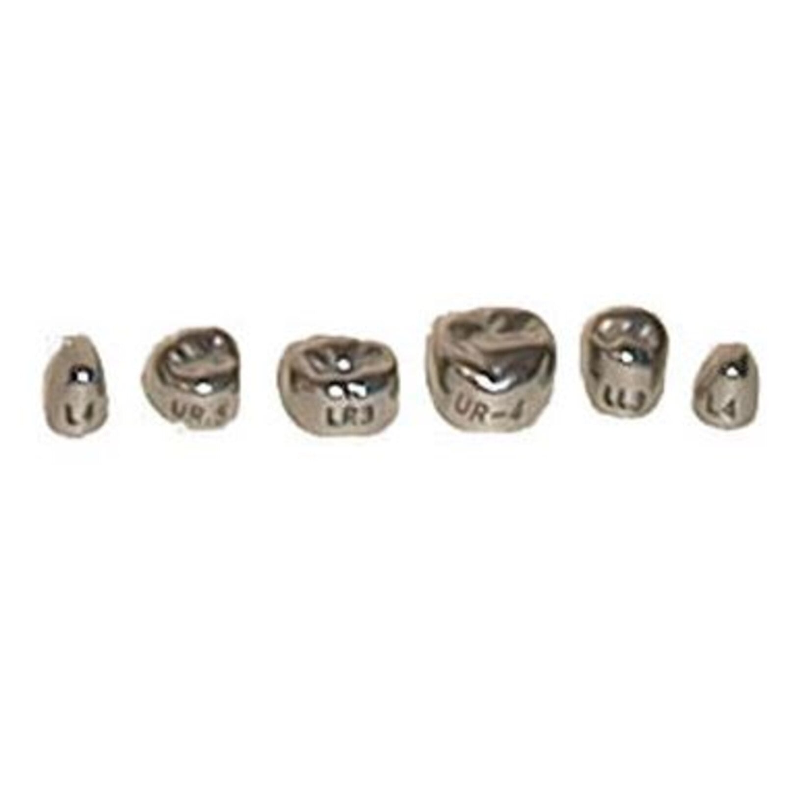 Evolve Stainless Steel Primary Molar Crown, 1st Lower Left (#2), 5/Pk