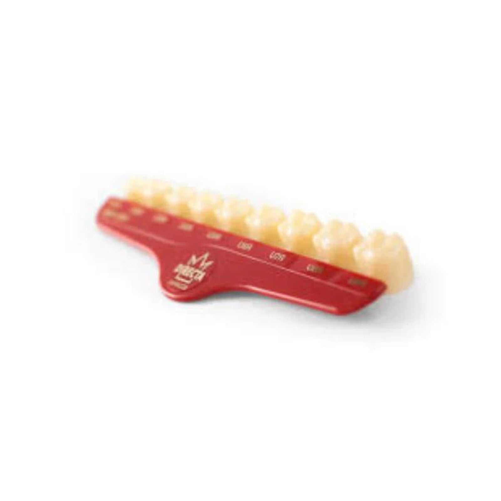 Directa Temporary Polycarbonate Crown #49 Upper Bicuspid Short, Translucent, Refill Pack of 5 (609249)