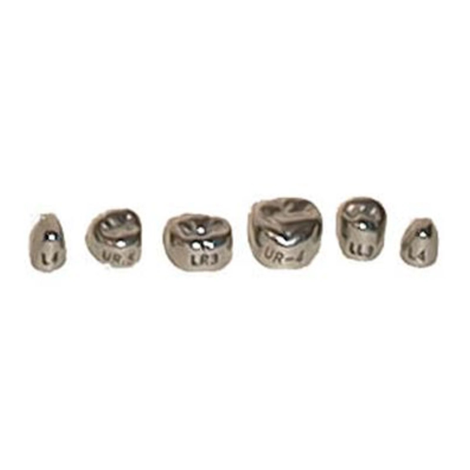 Evolve #2 Stainless Steel Primary Molar Crown, 1st Upper Right, 5/Pk