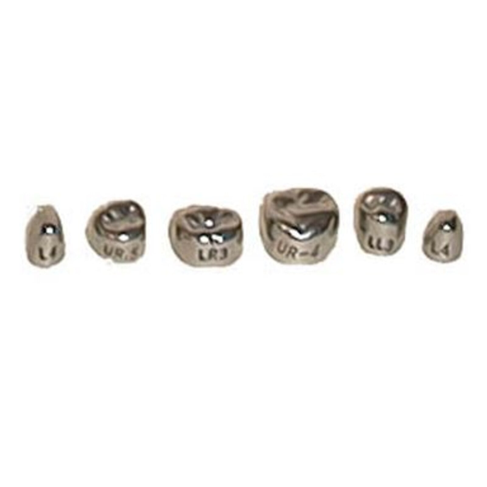 Evolve #2 Stainless Steel Primary Molar Crown, 1st Upper Left, 5/Pk