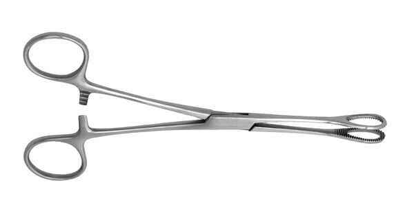 Foerster Sponge Forcep, 7" Straight, Stainless Steel