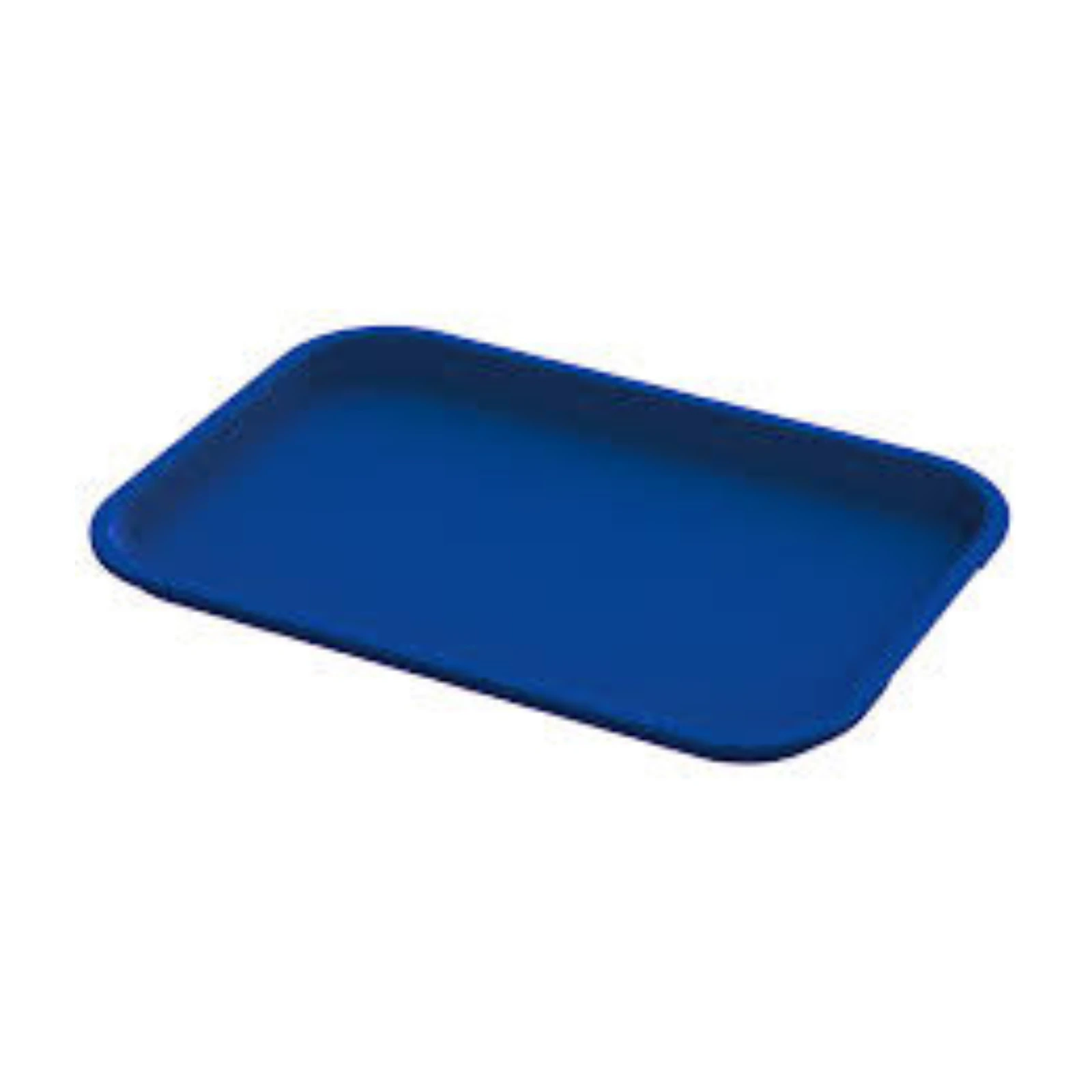 Plasdent Flat Tray Size-A (Chayes) Blue, 581-300AF-2