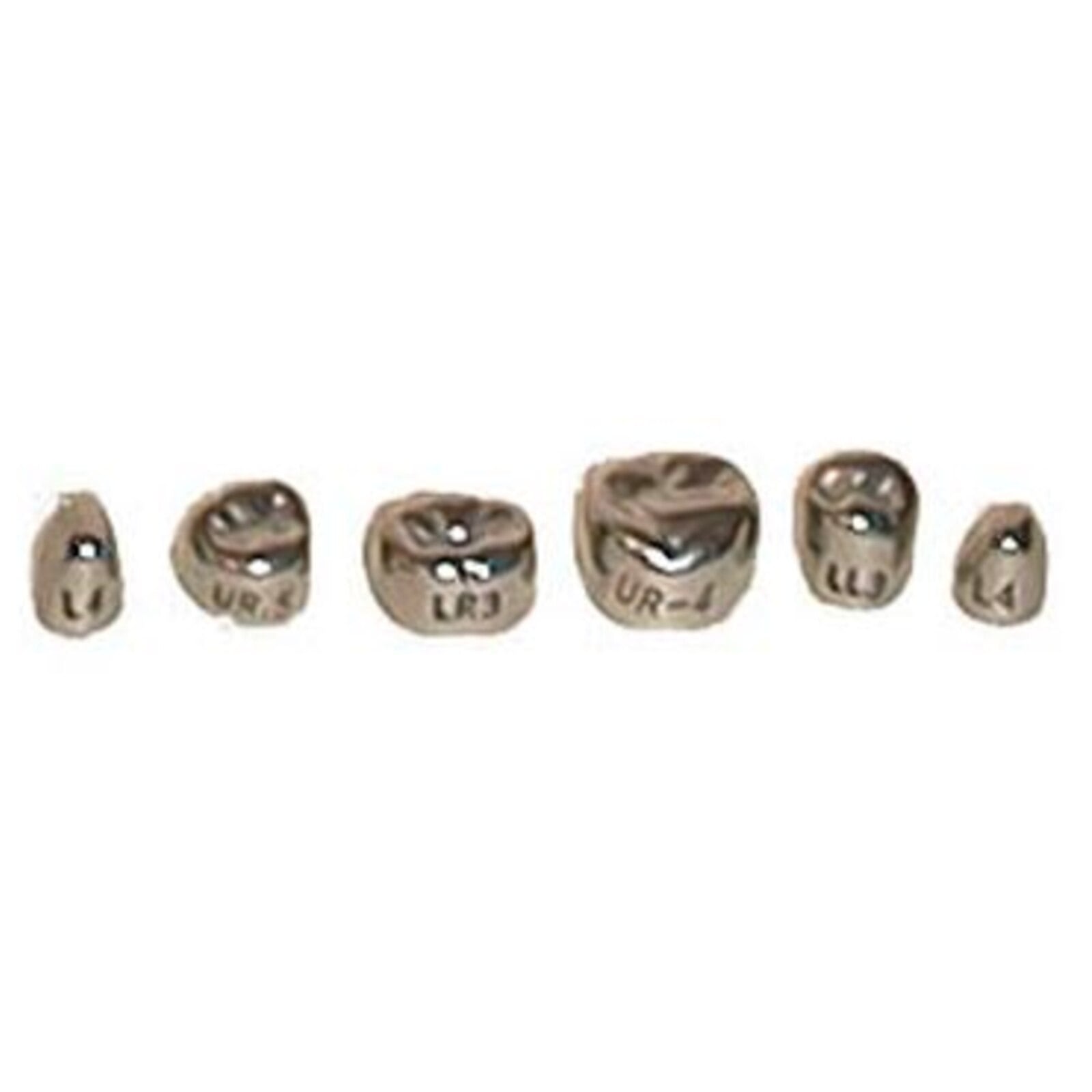 Evolve #3 Stainless Steel Primary Molar Crown, 1st Lower Right, 5/Pk
