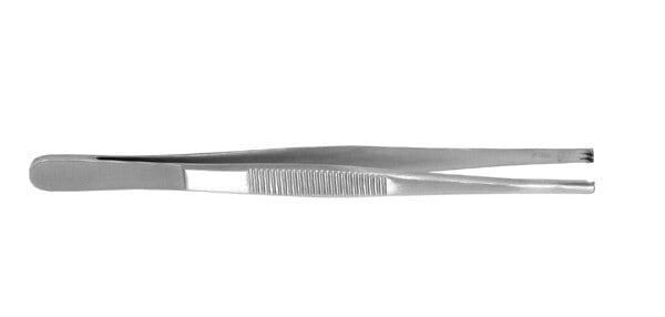 Tissue Forceps, 5" 2X3 Teeth, Stainless Steel