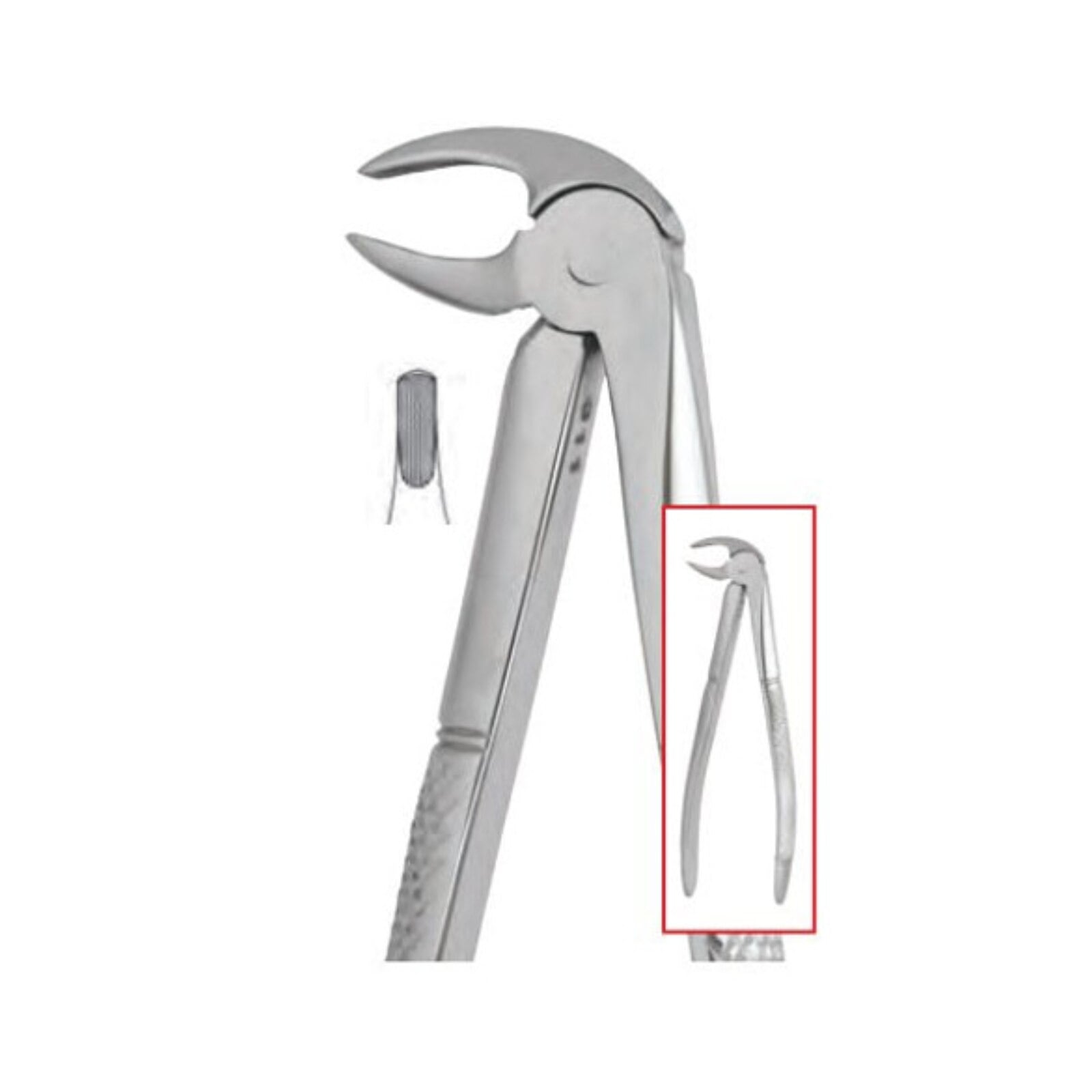 Nordent Extraction Forceps #13 Serrated, Lower Bicuspid, English Pattern