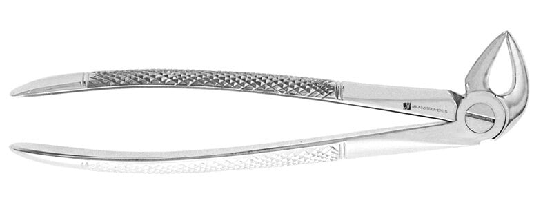 Extracting Forcep #33 English, Stainless Steel, House Brand