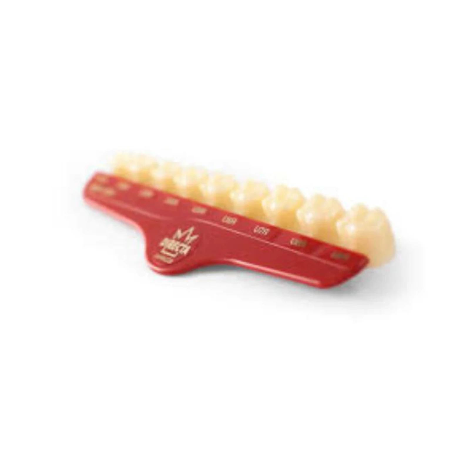 Directa Temporary Polycarbonate Crown, #42 Upper Bicuspid Long, Translucent, Refill Pack of 5, 6092-42