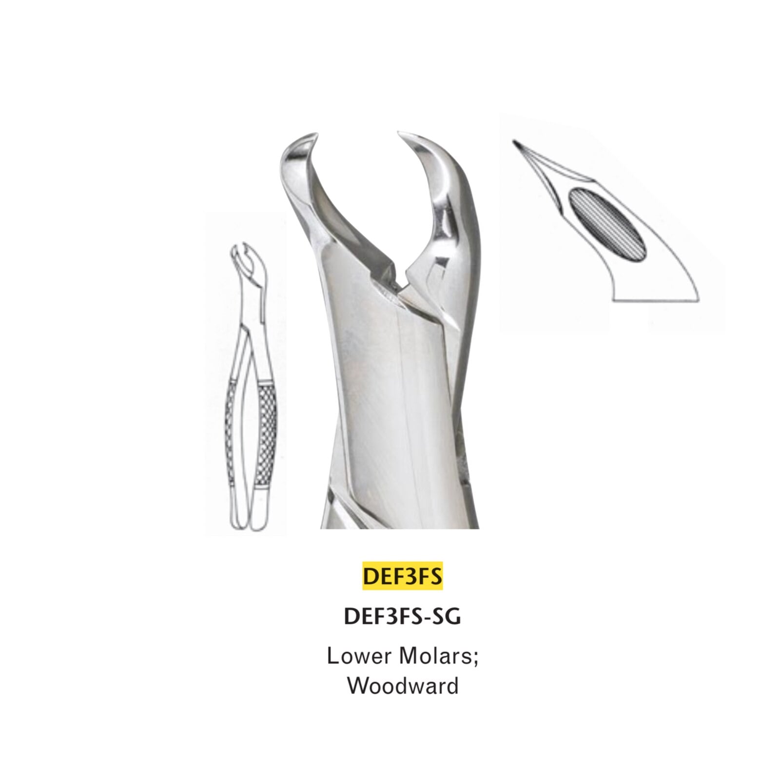 Miltex Extraction Forceps, Stainless Steel, Lower Molars, Woodward, 3FS